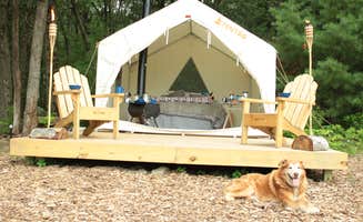 The Dyrt's photo of camping with pets at Abandoned Zoo: Wooded Site near Catskill, NY