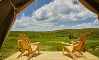 The Dyrt's photo at Camp Haven: Meadow Retreat Now Open near Roscoe, NY
