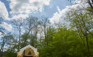 The Dyrt's photo at Camp Haven: Meadow Retreat Now Open near Parksville, NY