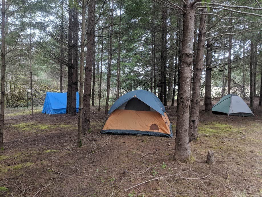 The Dyrt's photo of tent camping at Camping at an Oasis in Nature near Woodland, WA