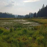 Review photo of Seeley Lake Lolo Campground (MT) — Lolo National Forest by Jason S., October 15, 2024