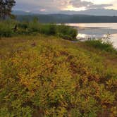 Review photo of Seeley Lake Lolo Campground (MT) — Lolo National Forest by Jason S., October 15, 2024