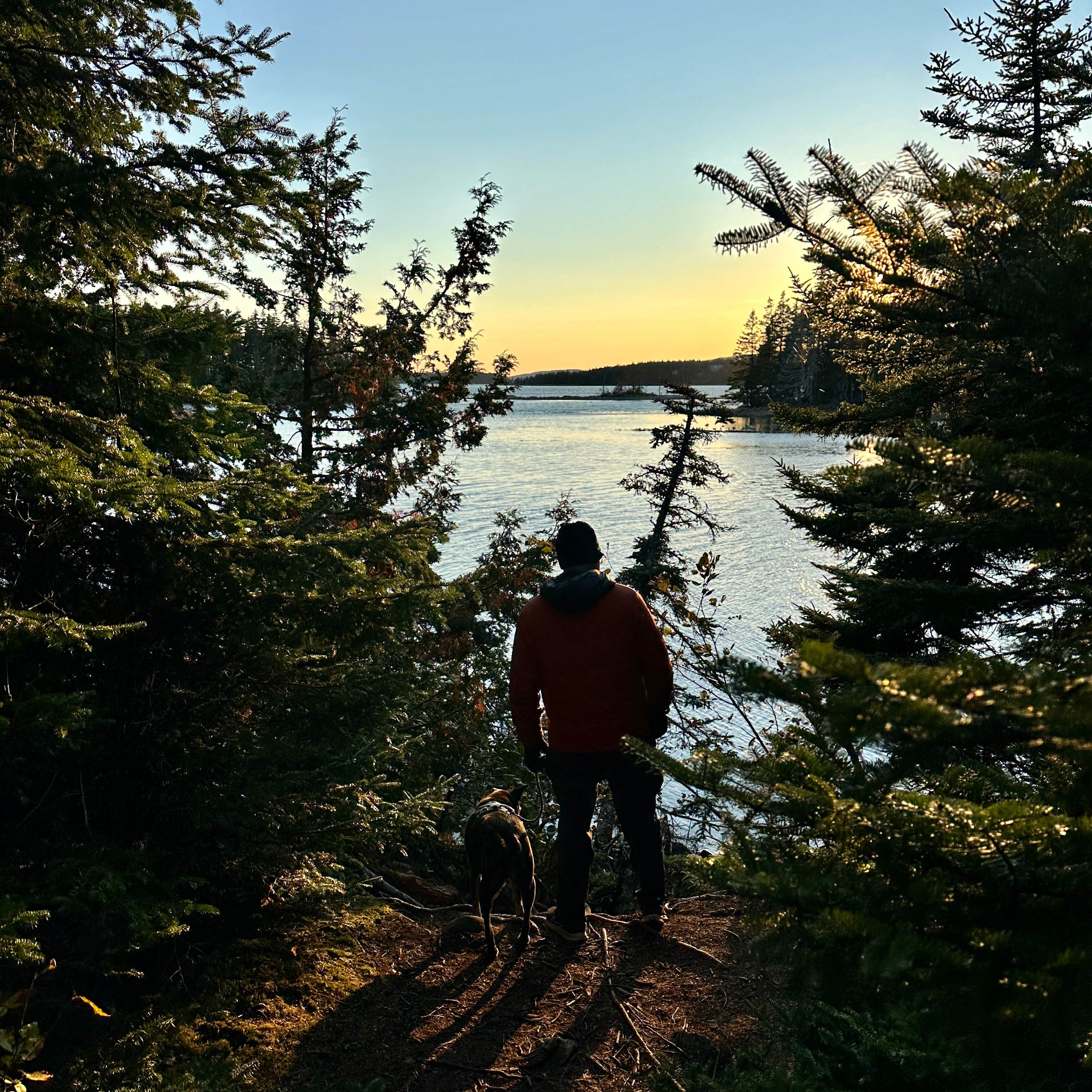 Sarah S.'s photo of camping with pets at Schoodic Woods Campground — Acadia National Park near Beddington, ME