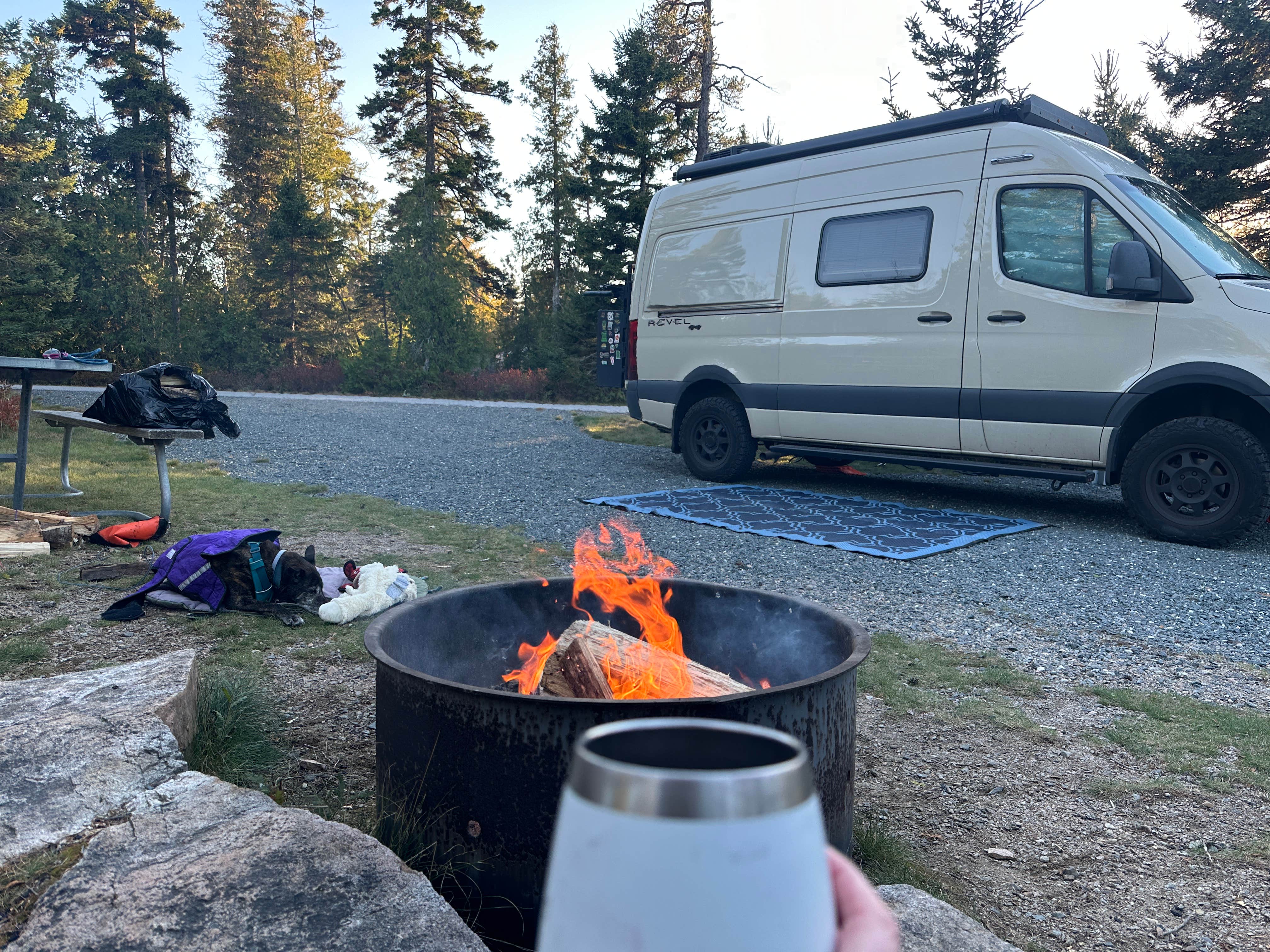 Sarah S.'s photo of rv camping at Schoodic Woods Campground — Acadia National Park near Birch Harbor, ME