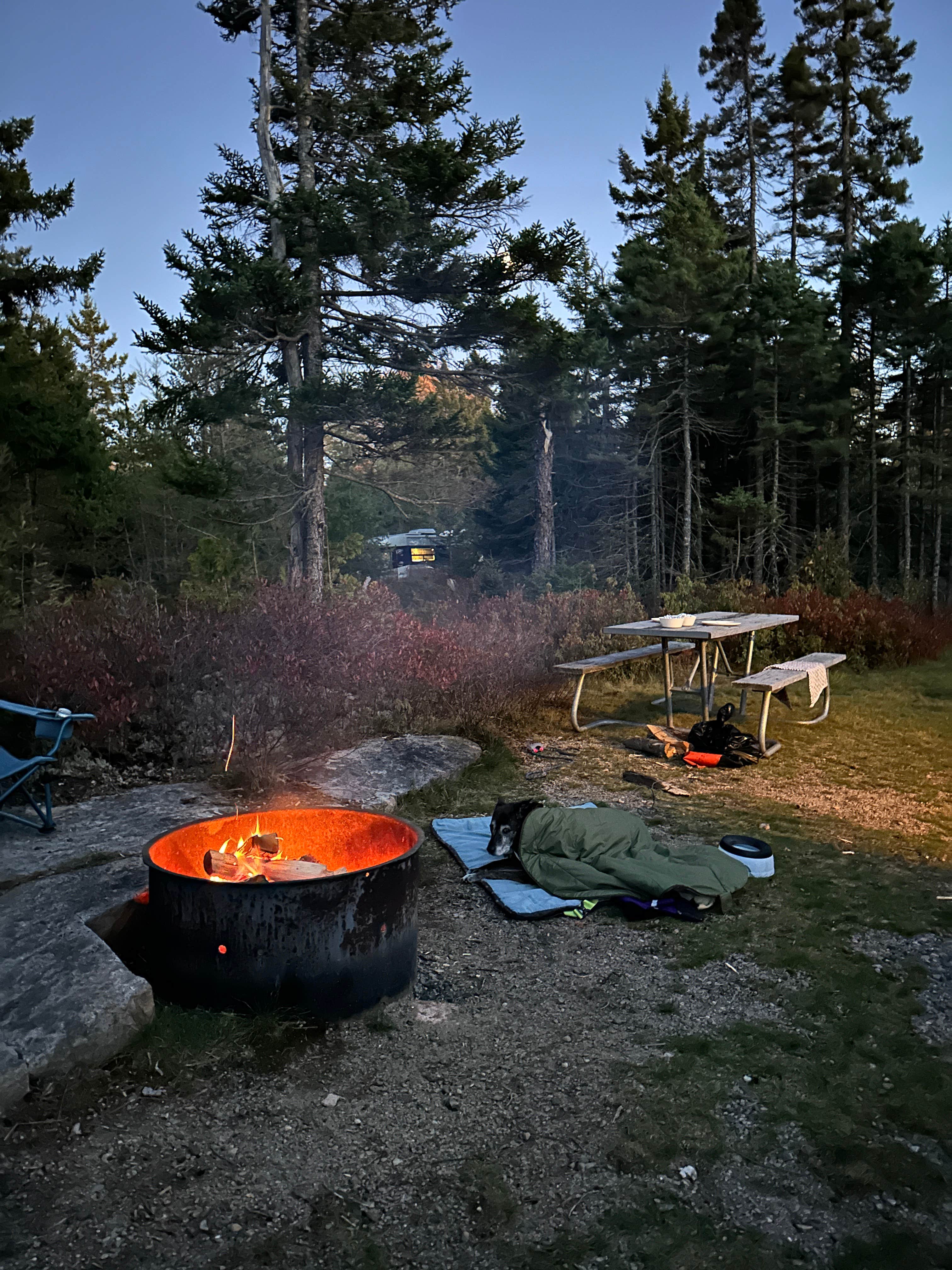 Sarah S.'s photo at Schoodic Woods Campground — Acadia National Park near Acadia National Park