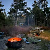 Review photo of Schoodic Woods Campground — Acadia National Park by Sarah S., October 16, 2024