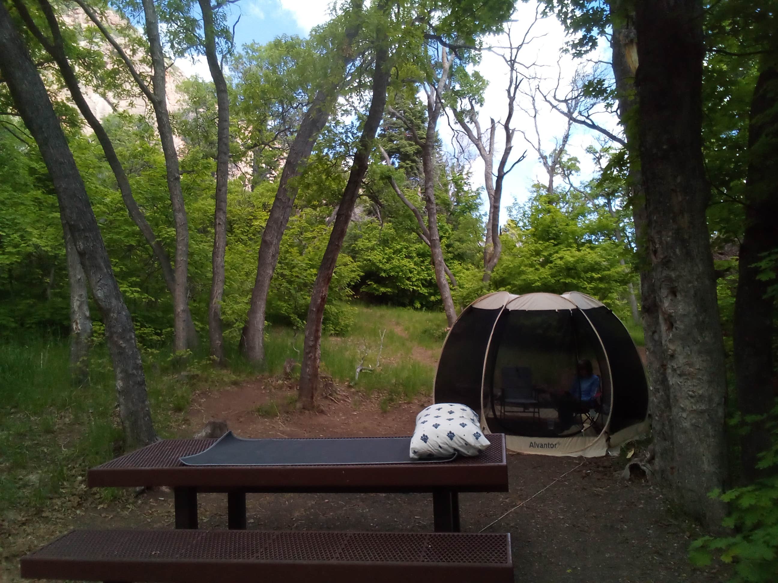 Mark M.'s photo at Maple Grove near Delta, UT