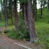 Review photo of Stoddard Creek Campground by UT801 , October 17, 2024