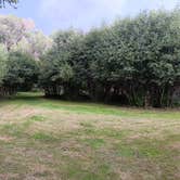 Review photo of Questa Lodge & RV Resort by Mark M., October 17, 2024