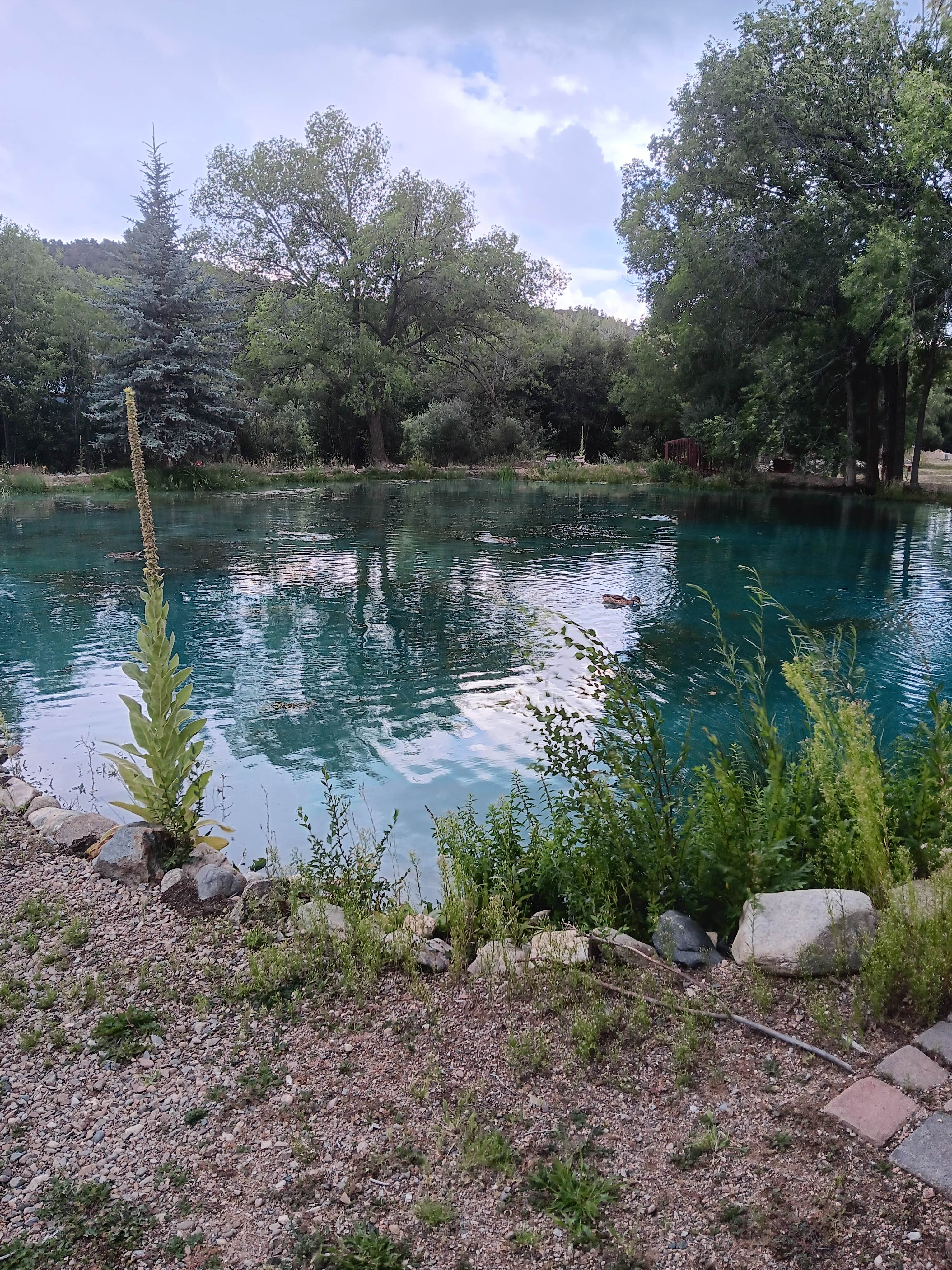 Camper submitted image from Questa Lodge & RV Resort - 5