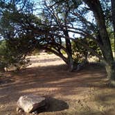 Review photo of Datil Well Recreation Area Campground by UT801 , October 17, 2024