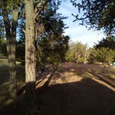 Review photo of Datil Well Recreation Area Campground by UT801 , October 17, 2024