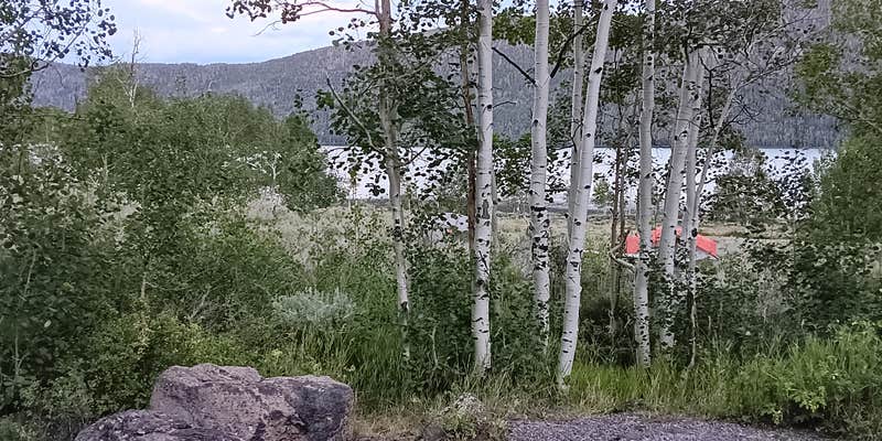 Camper submitted image from Mackinaw Campground