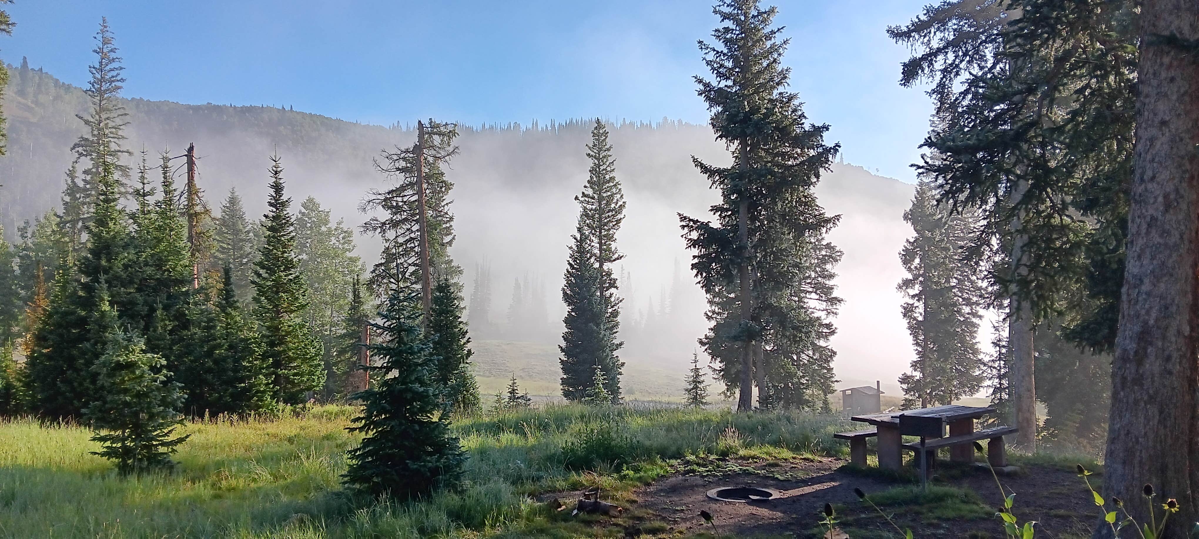 Camper submitted image from Flat Canyon - 2