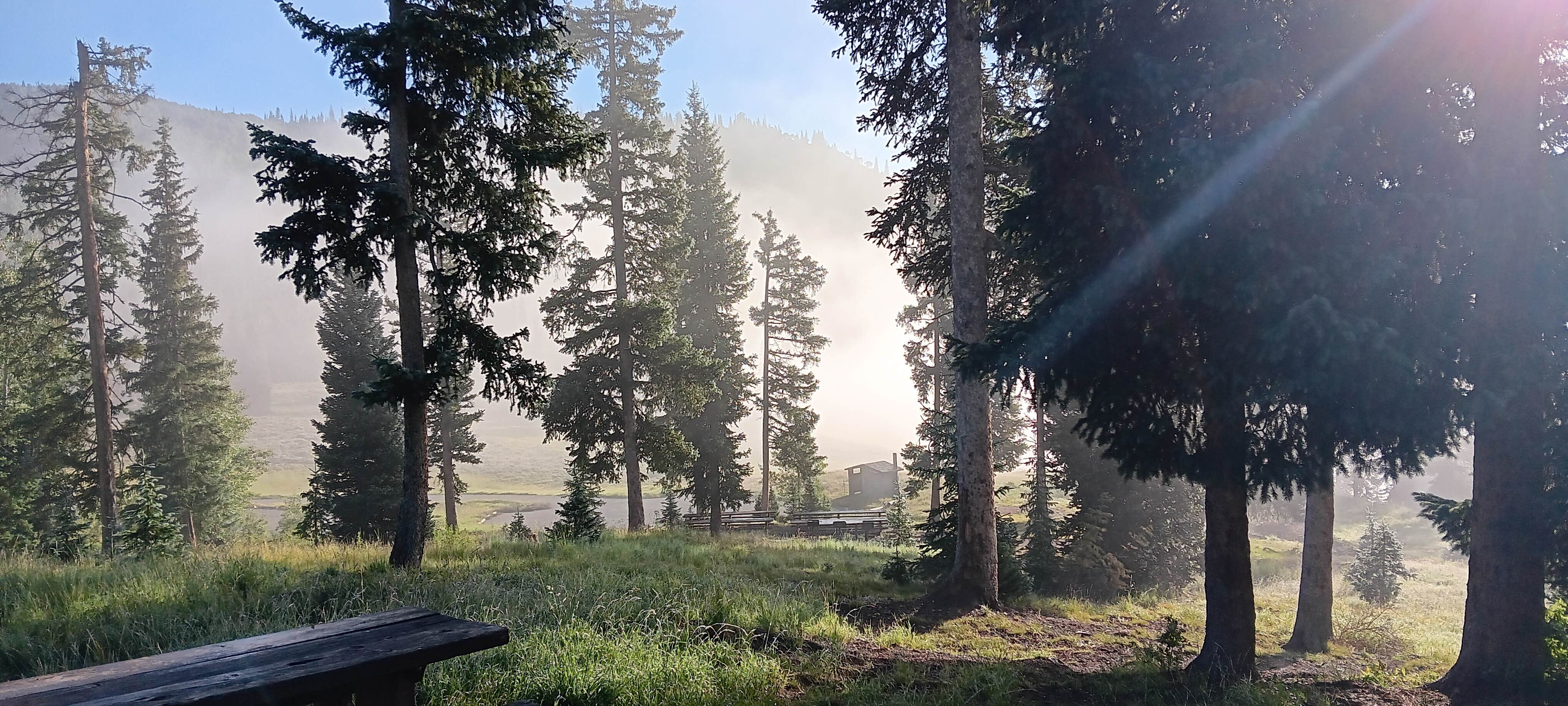 Camper submitted image from Flat Canyon - 3