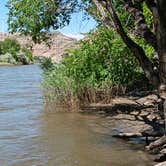Review photo of James M. Robb Colorado River — Island Acres Section Camping by Mark M., October 17, 2024