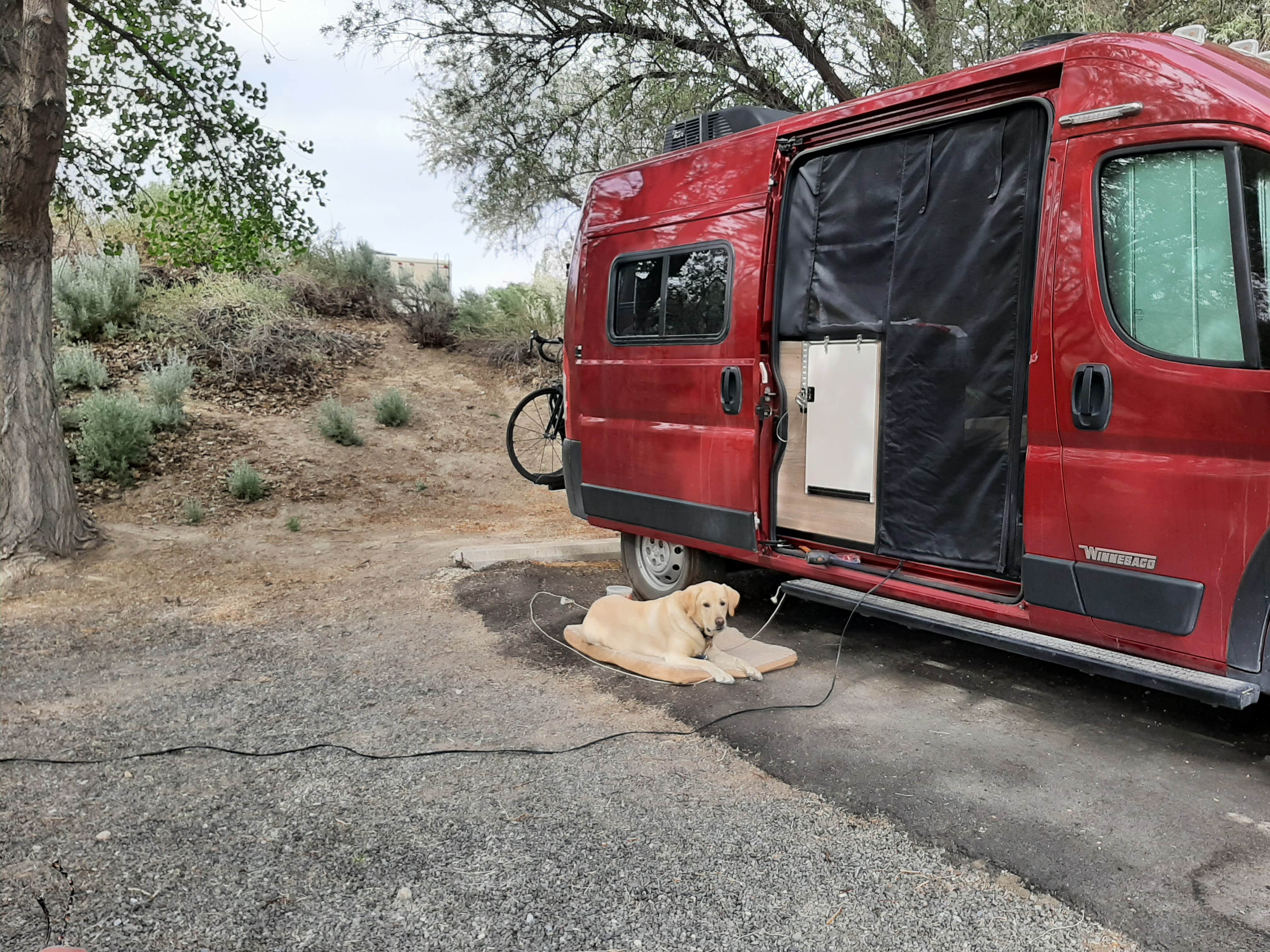 Mark M.'s photo of camping with pets at Rye Patch State Recreation Area near Lovelock, NV