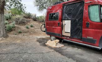 Mark M.'s photo of camping with pets at Rye Patch State Recreation Area near Lovelock, NV