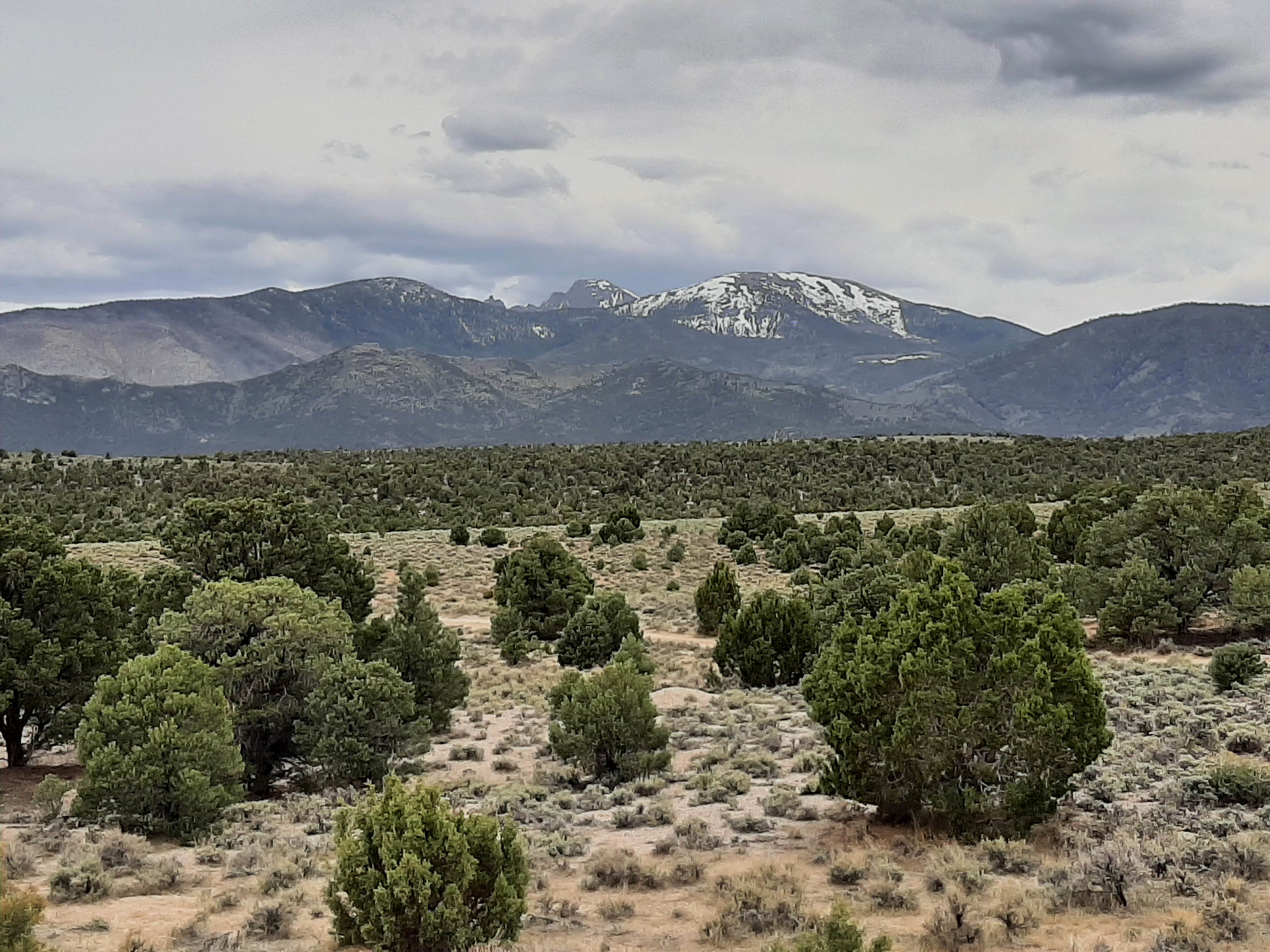 Camper submitted image from Sacramento Pass BLM Campground - 1