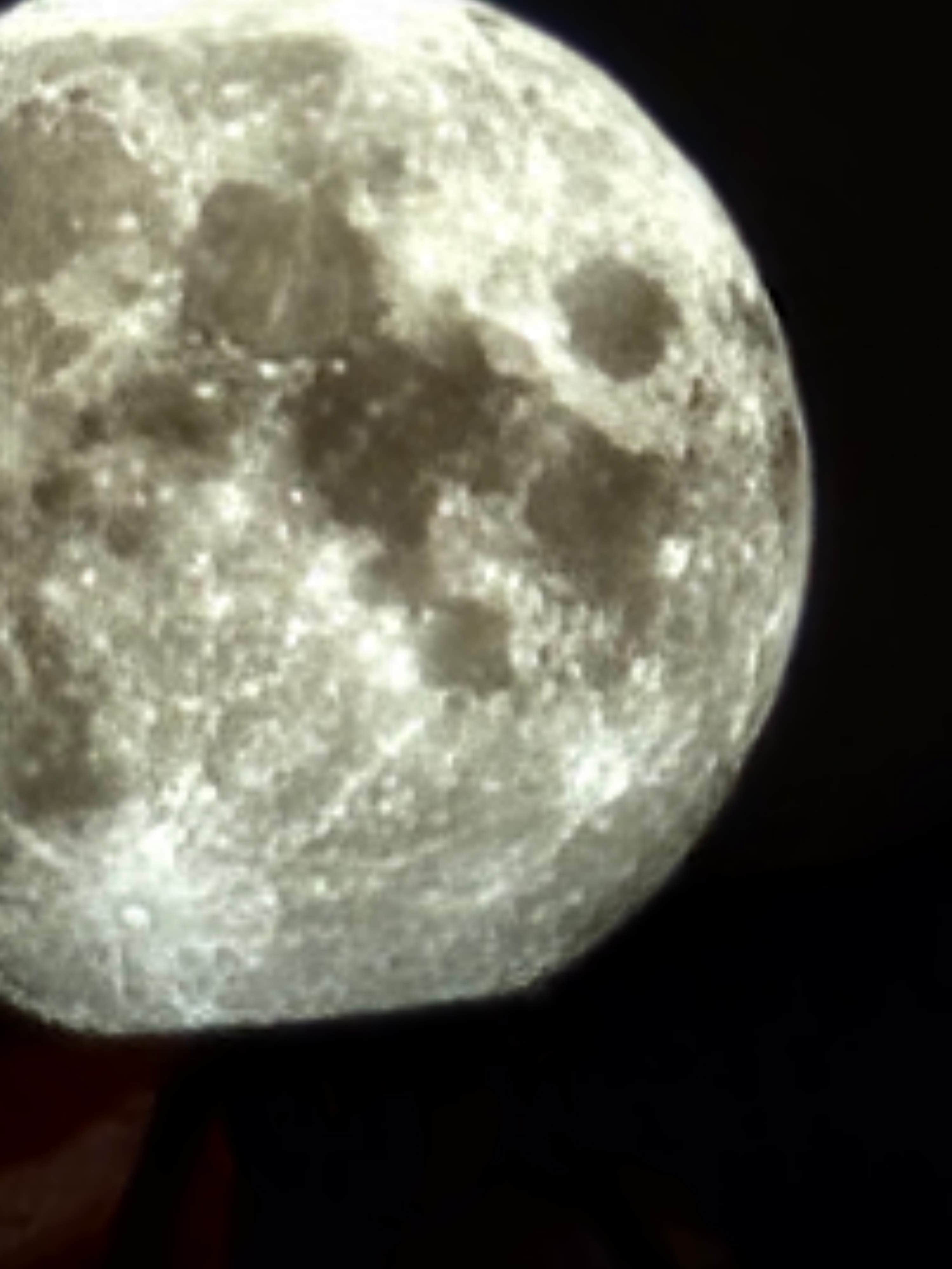 Camper-submitted photo at West Bass Lake near Iron Mountain, MI