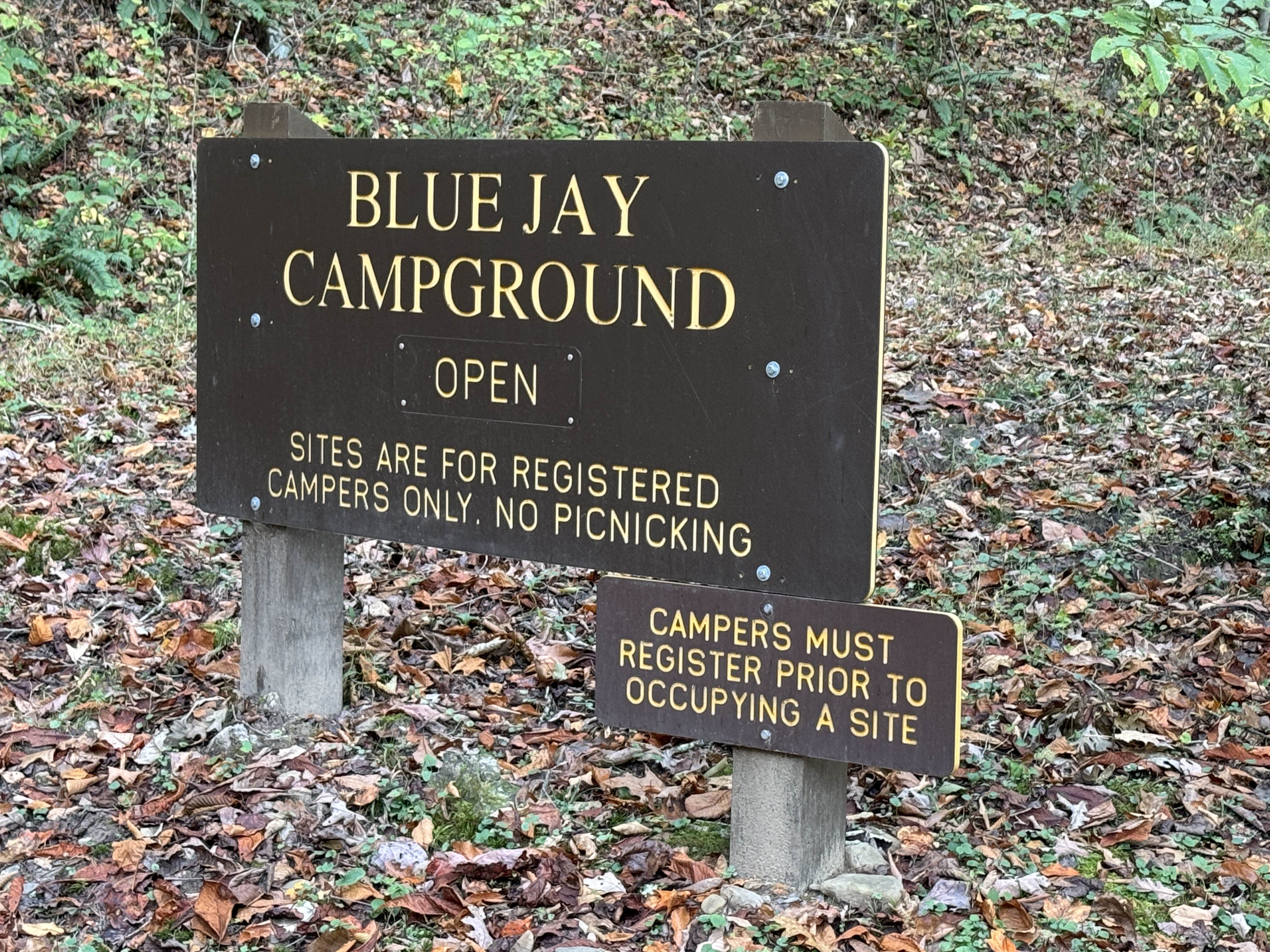Camper-submitted photo at Blue Jay Campground — Camp Creek State Park near Herndon, WV