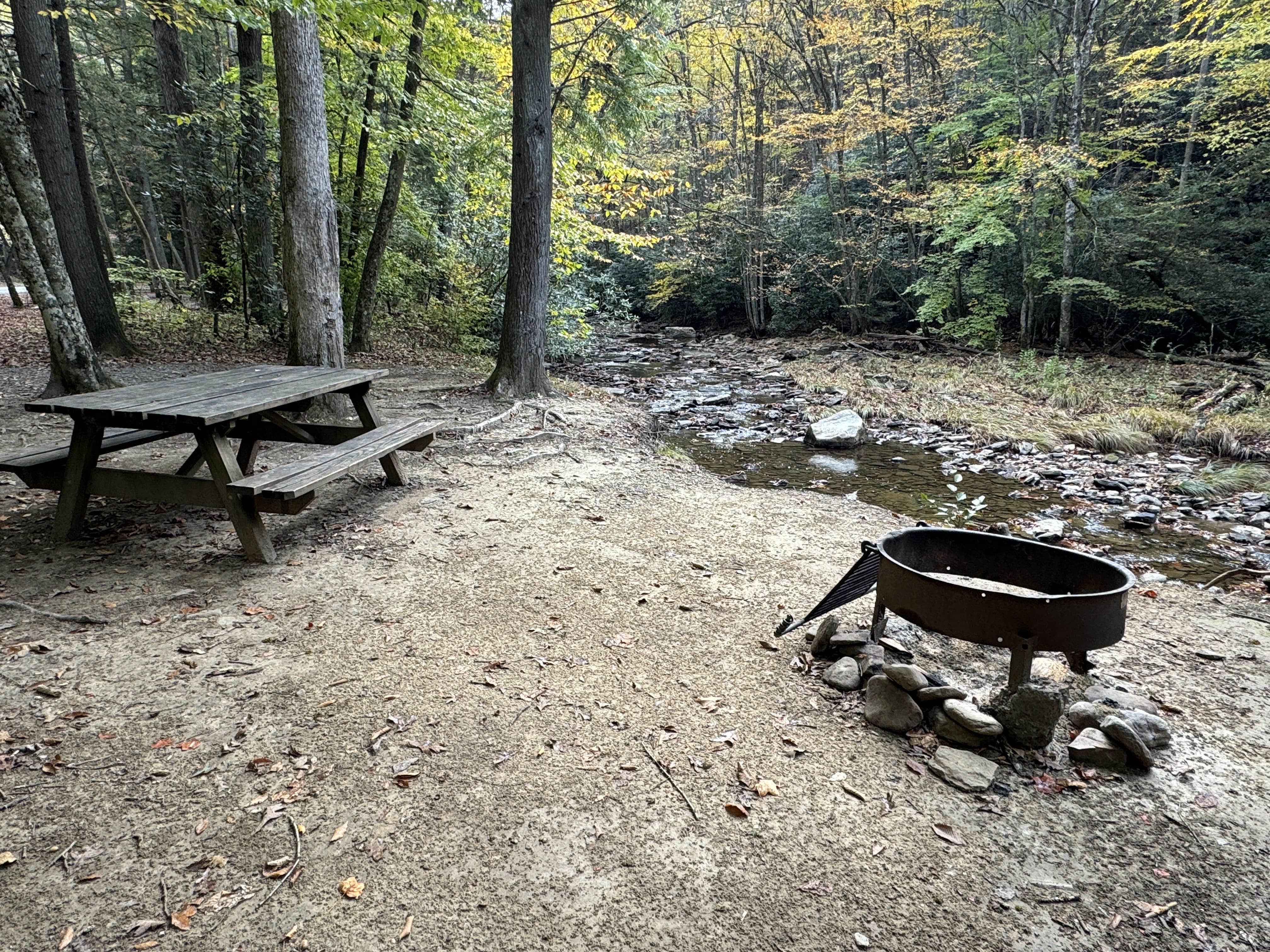 Camper-submitted photo at Blue Jay Campground — Camp Creek State Park near Herndon, WV