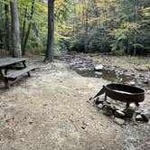 Review photo of Blue Jay Campground — Camp Creek State Park by Lee D., October 18, 2024