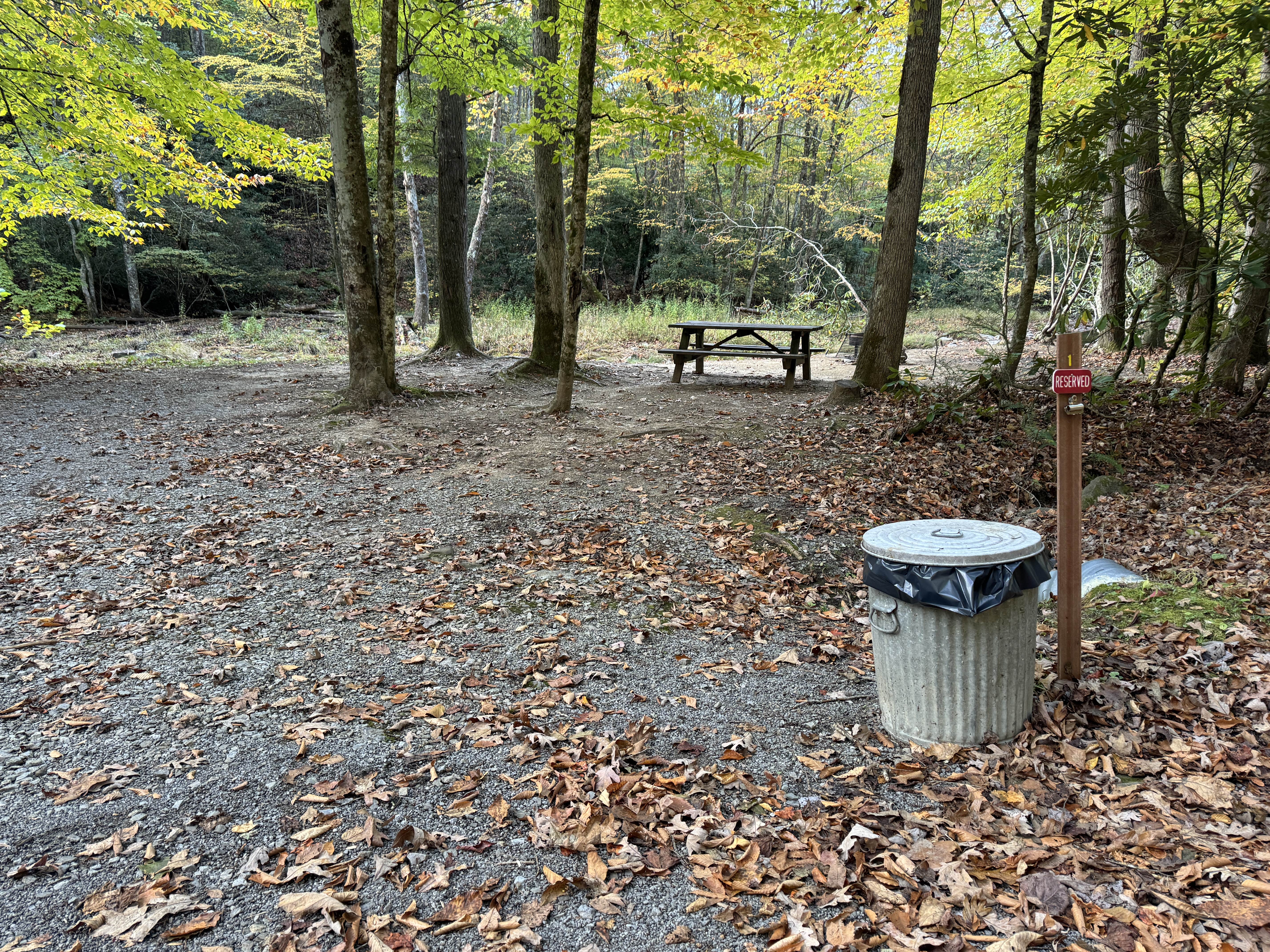 Camper-submitted photo at Blue Jay Campground — Camp Creek State Park near Herndon, WV