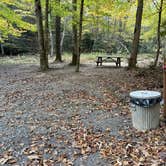 Review photo of Blue Jay Campground — Camp Creek State Park by Lee D., October 18, 2024