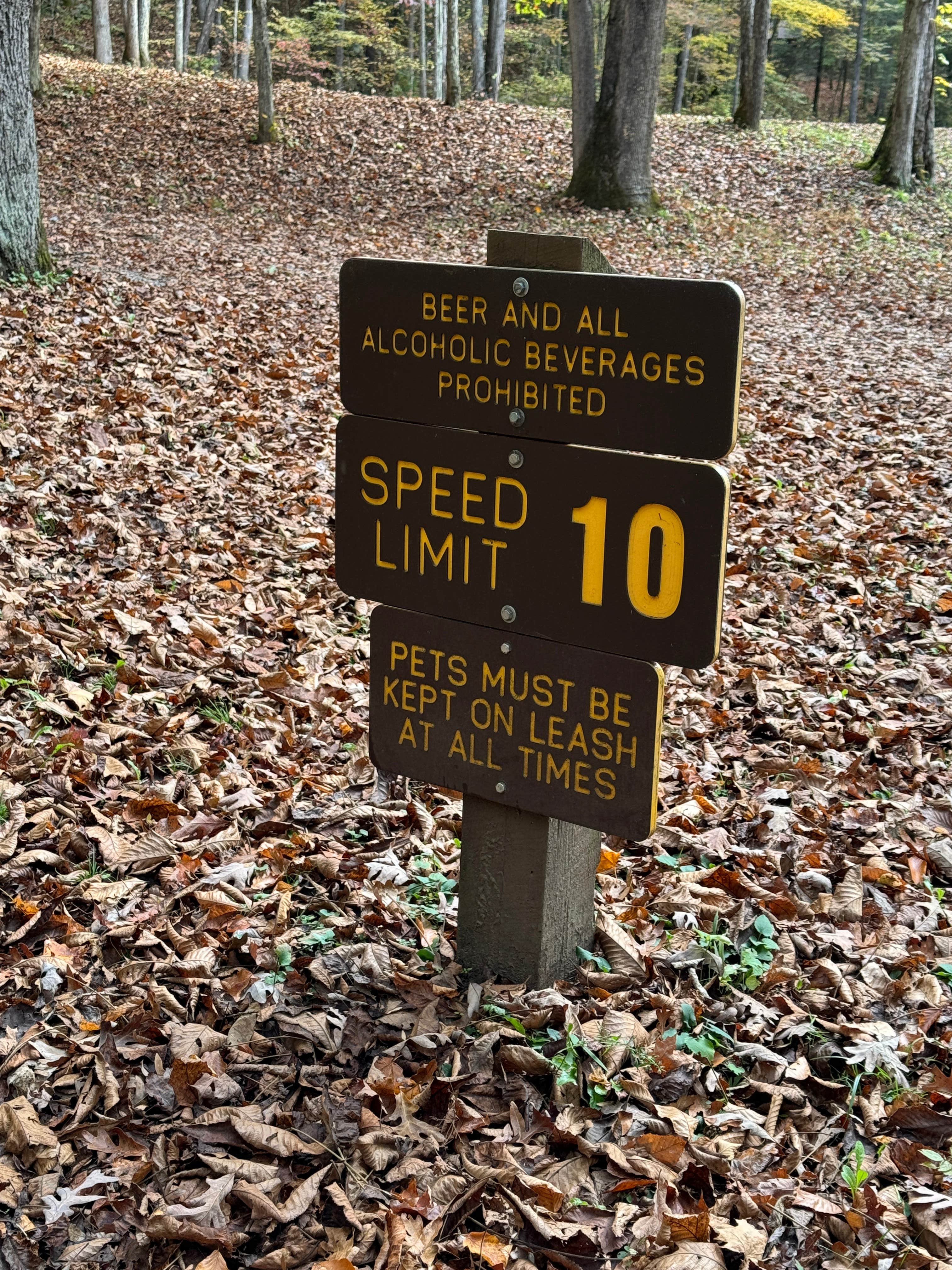 Camper-submitted photo at Blue Jay Campground — Camp Creek State Park near Herndon, WV