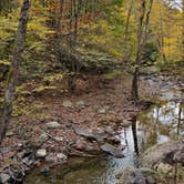 Review photo of Blue Jay Campground — Camp Creek State Park by Lee D., October 18, 2024