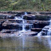 Review photo of Blue Jay Campground — Camp Creek State Park by Lee D., October 18, 2024