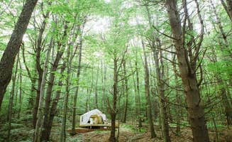 The Dyrt's photo at Berkshire Mountain Hideaway near West Stockbridge, MA
