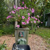 Review photo of Grafton Notch Campground by Lee D., October 18, 2024