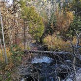 Review photo of Upper Lehman Creek Campground — Great Basin National Park by Rick P., October 18, 2024