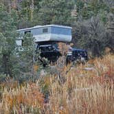 Review photo of Upper Lehman Creek Campground — Great Basin National Park by Rick P., October 18, 2024