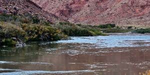 Camper submitted image from BLM Lower Onion Creek Camping Area