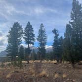 Review photo of Mount Shavano Dispersed Camping by Jordana P., October 19, 2024