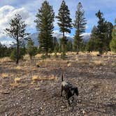 Review photo of Mount Shavano Dispersed Camping by Jordana P., October 19, 2024