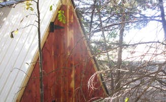 Teresa B.'s photo of a cabin at B Berry Farms & Co. near Rogersville, MO