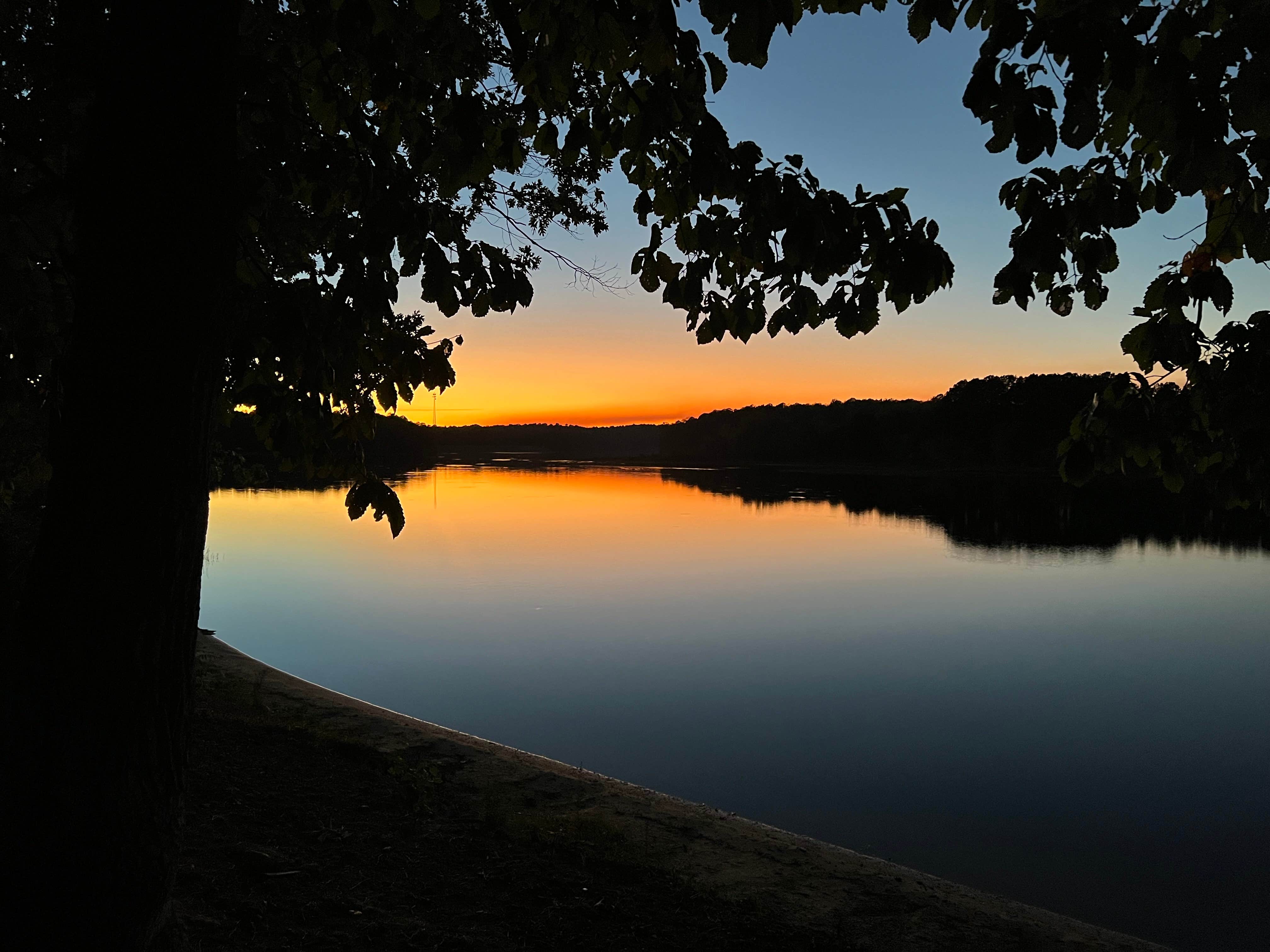 Camper submitted image from Twin Forks Campground - 1