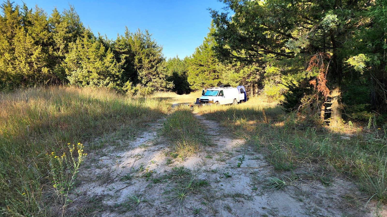 Camper submitted image from Bessey Dispersed, FR203 Circle Rd, Nebraska National Forest - 4