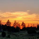 Review photo of Bessey Dispersed, FR203 Circle Rd, Nebraska National Forest by Fred S., October 20, 2024