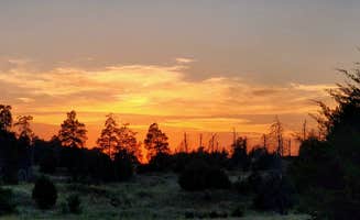 Fred S.'s photo of a dispersed camping area at Bessey Dispersed, FR203 Circle Rd in Nebraska