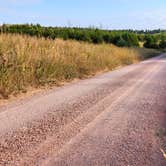 Review photo of Bessey Dispersed, FR203 Circle Rd, Nebraska National Forest by Fred S., October 20, 2024