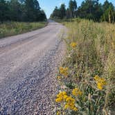 Review photo of Bessey Dispersed, FR203 Circle Rd, Nebraska National Forest by Fred S., October 20, 2024