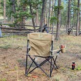 Review photo of Esterbrook Campground — Medicine Bow Routt NFS & Thunder Basin Ng by Fred S., October 20, 2024