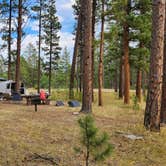 Review photo of Esterbrook Campground — Medicine Bow Routt NFS & Thunder Basin Ng by Fred S., October 20, 2024