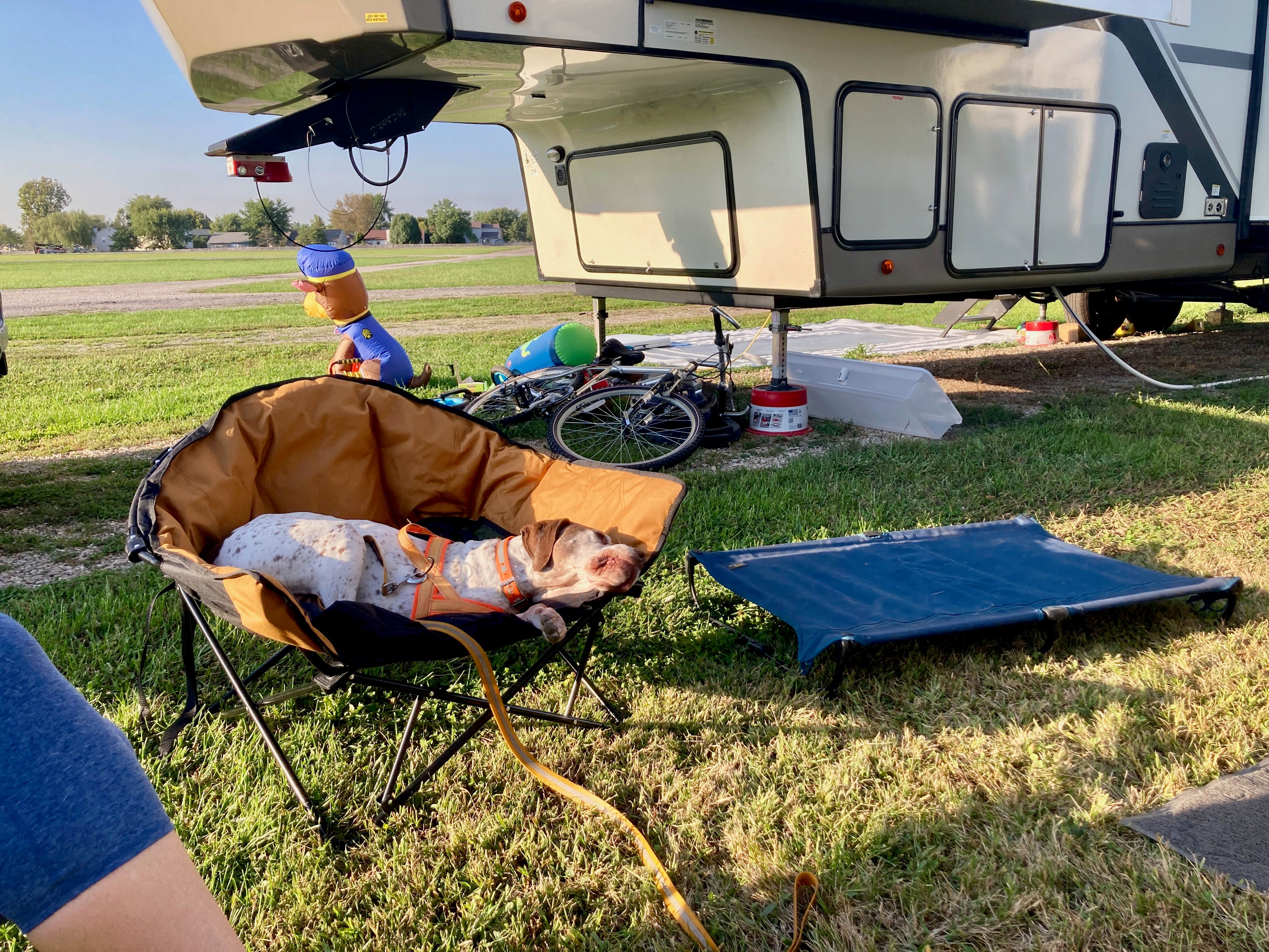 Camper-submitted photo at Johnson County Fairgrounds near Greenwood, IN