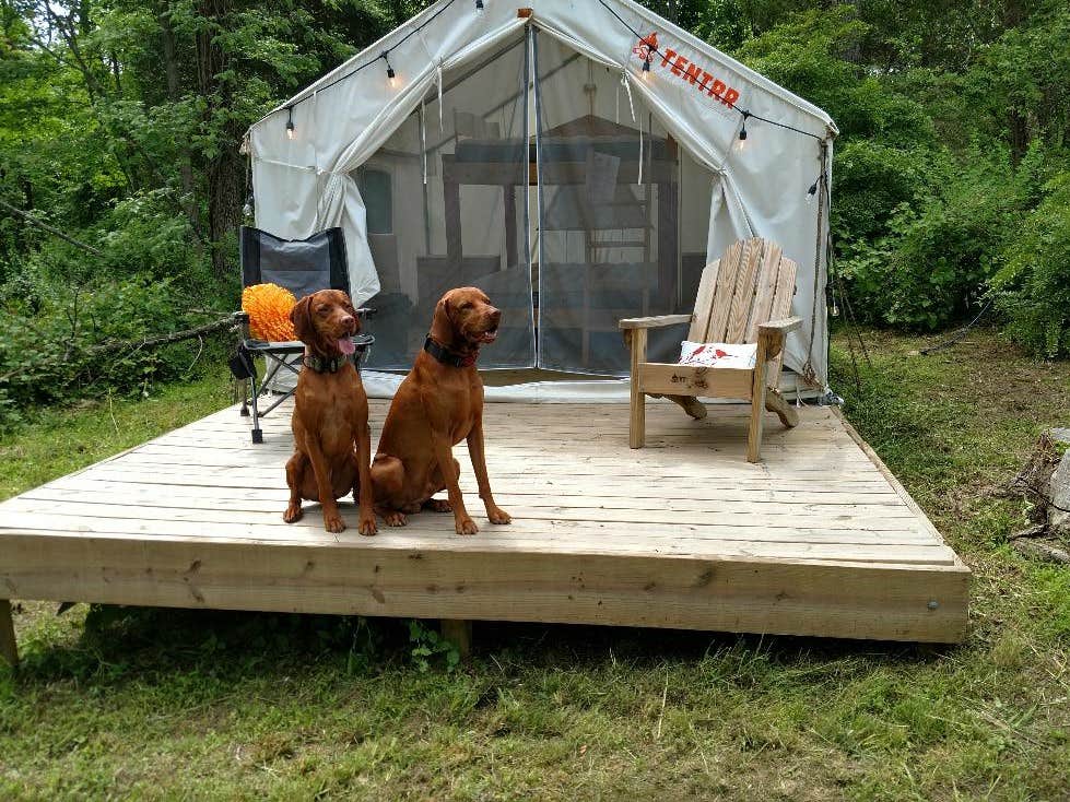The Dyrt's photo of camping with pets at Sunrise Hideaway and Organic Farm near Neshanic Station, NJ